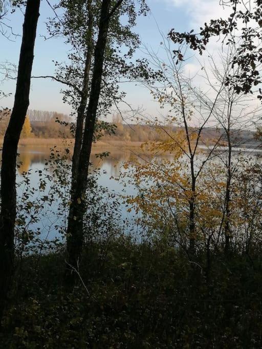 Swietna Chatka Swietne Extérieur photo