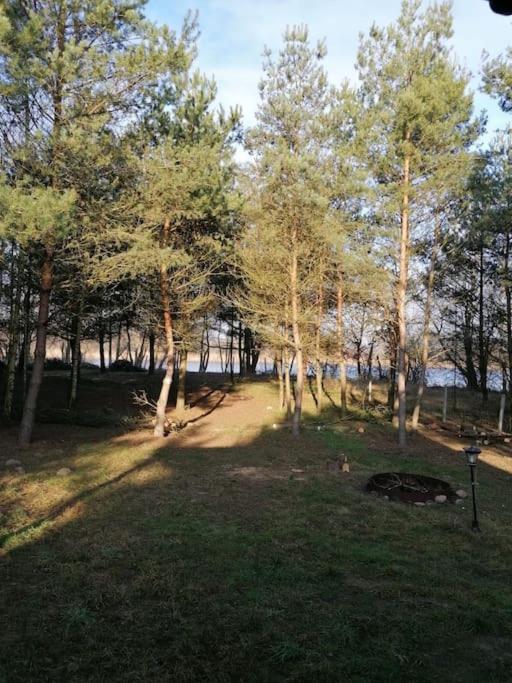 Swietna Chatka Swietne Extérieur photo