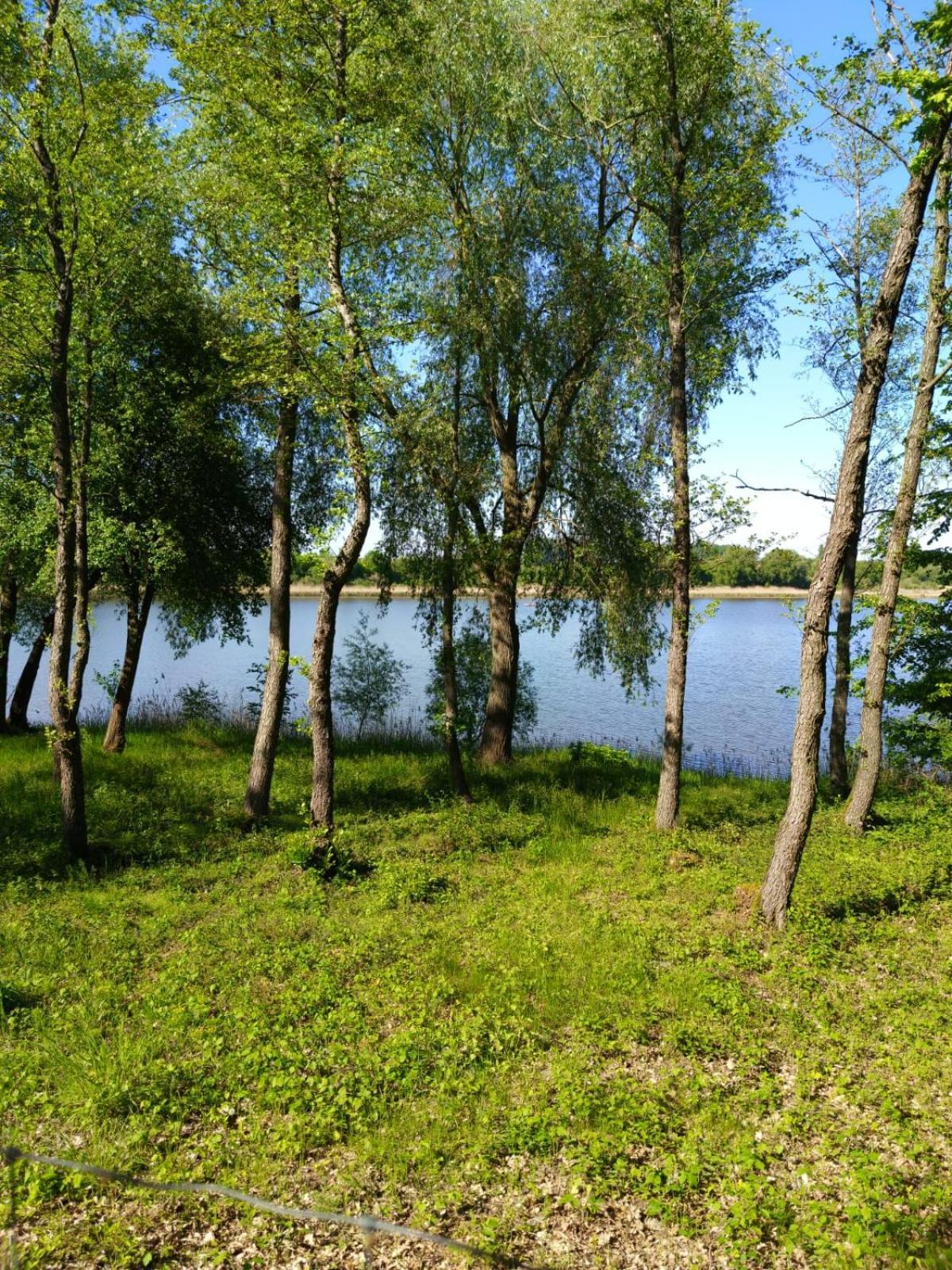 Swietna Chatka Swietne Extérieur photo